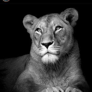 Meet your Posher, Lorena